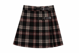 Pleated Skirt