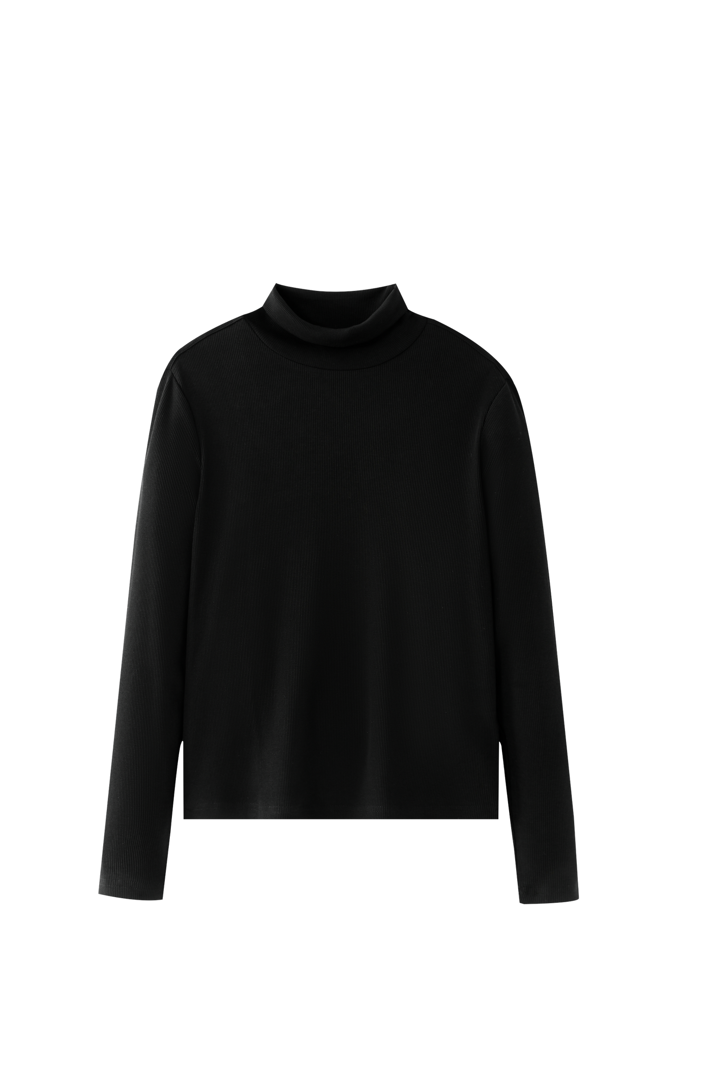 Ribbed Turtleneck