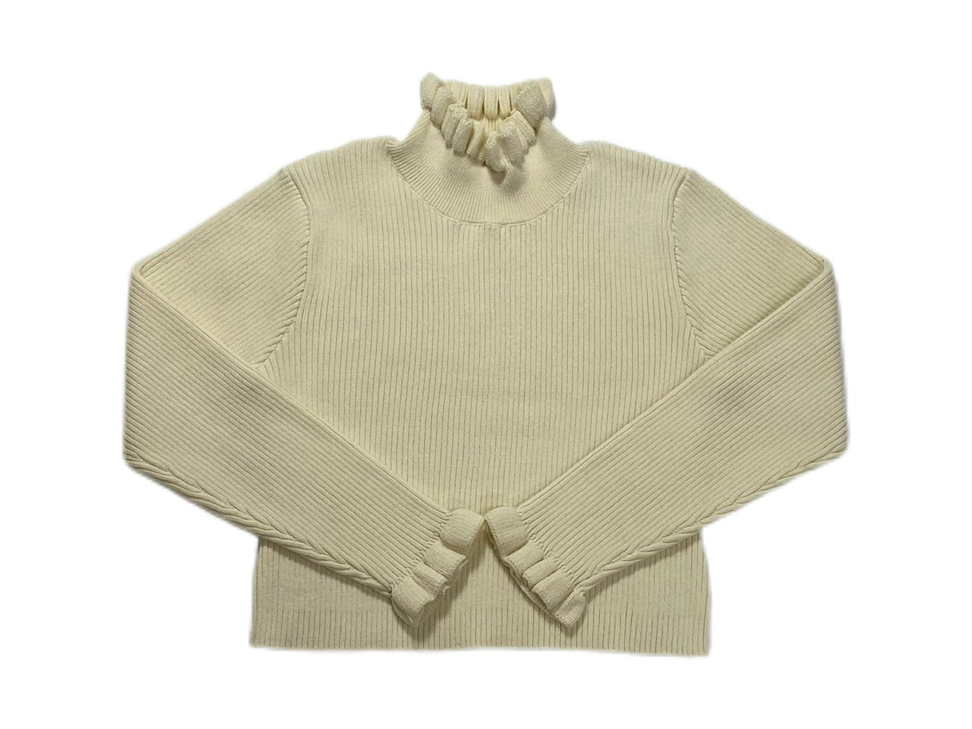 Rib Knit Turtleneck - IVORY