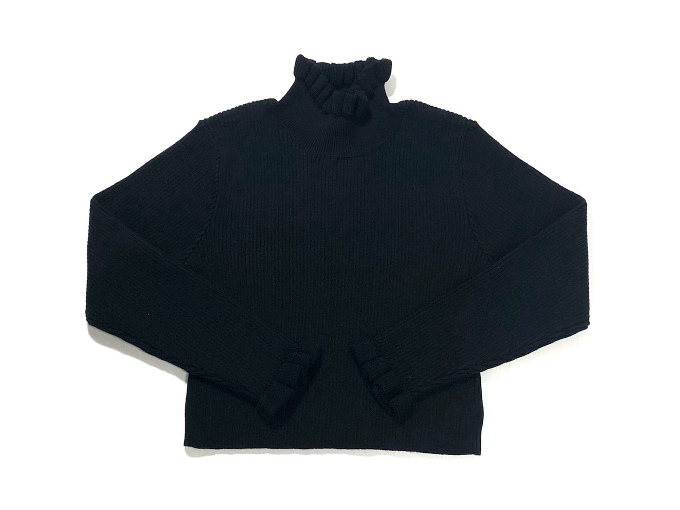 Rib Knit Turtleneck - BLACK
