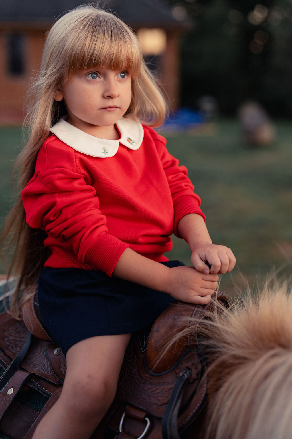 Embroidered Collared Sweatshirt