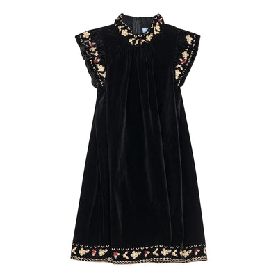 Embroidered Velvet Dress