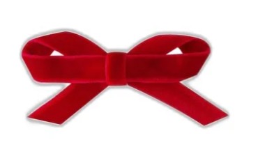 Small Velvet Hairbow