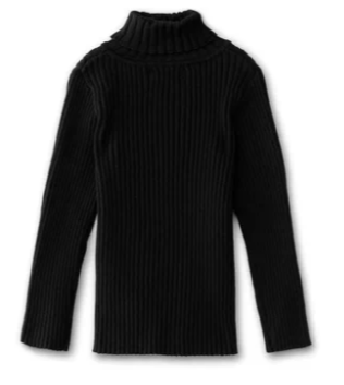 Ribbed Turtleneck